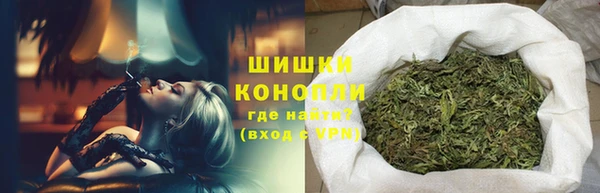 амф Протвино