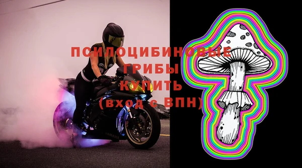 гидра Приозерск