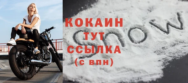 гидра Приозерск