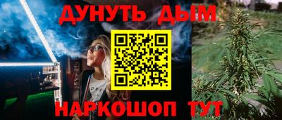 сатива Краснознаменск