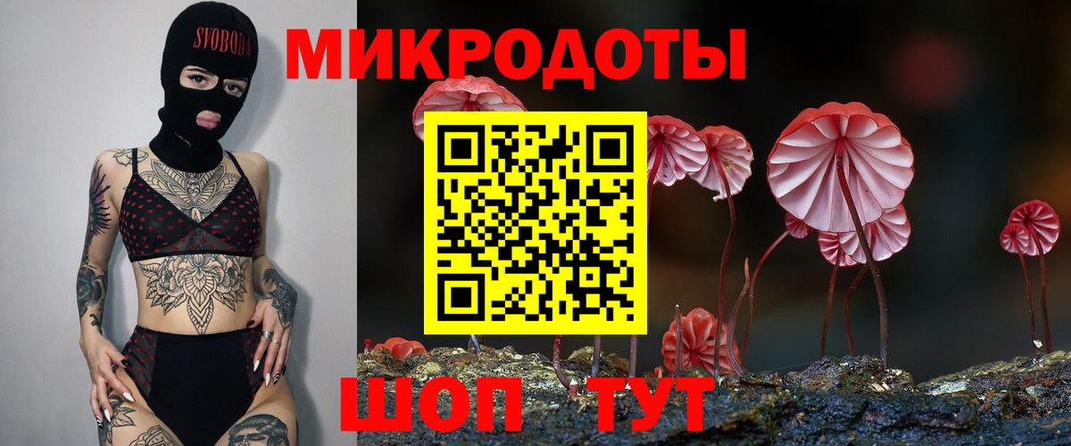 Сунжа  Псилоцибиновые грибы Magic Shrooms  Вход с VPN  Галлюциногенные грибы Cubensis 