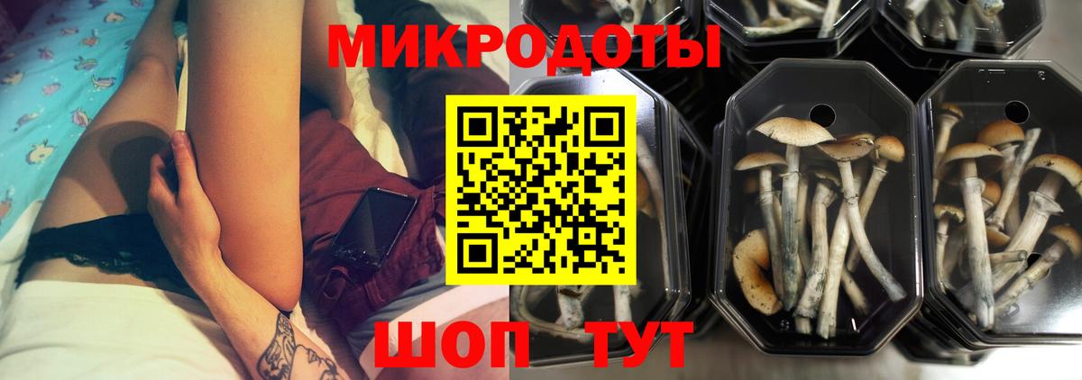 Псилоцибиновые грибы ЛСД Сунжа